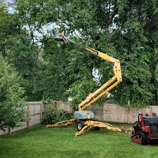 Mulching Services in Watertown, SD